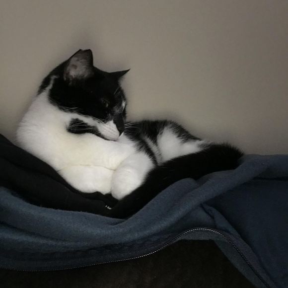 mollyandmushu17